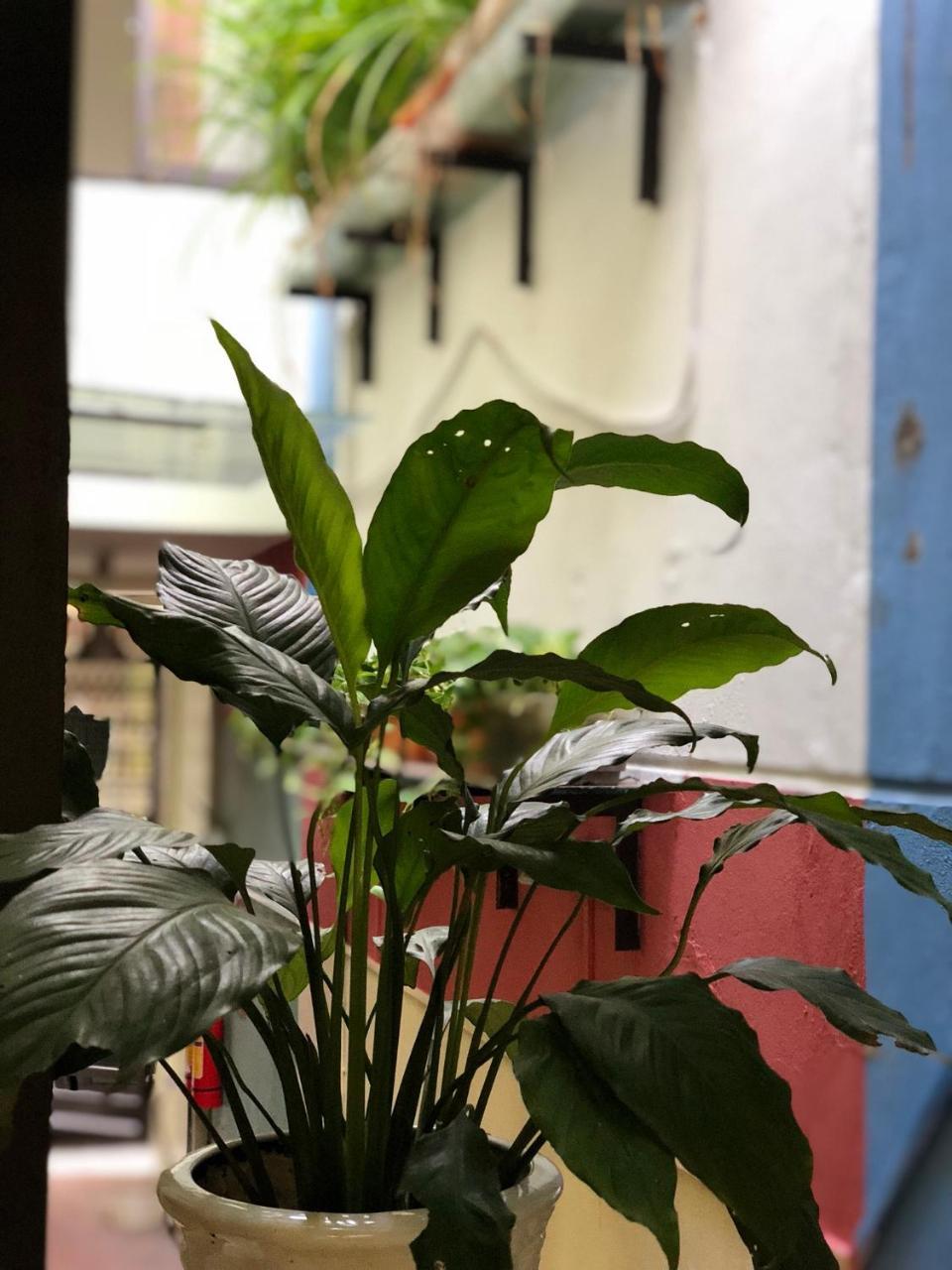 Apartamento La ventana modern house Hai Phong Exterior foto